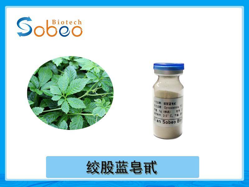 絞股藍提取物是什么？有什么作用？