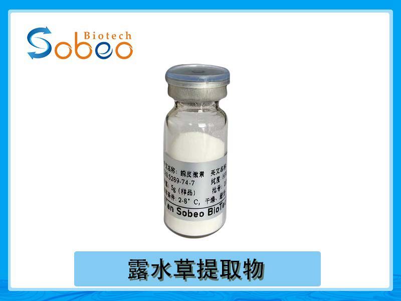 露水草提取物 蛻皮激素 產地直采原料 優(yōu)勢價格