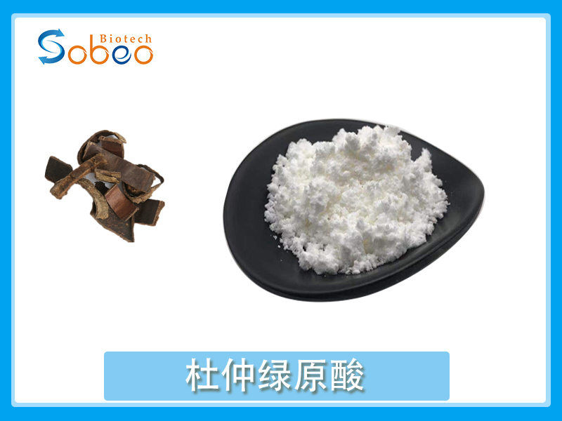 杜仲綠原酸，金銀花綠原酸介紹與應(yīng)用